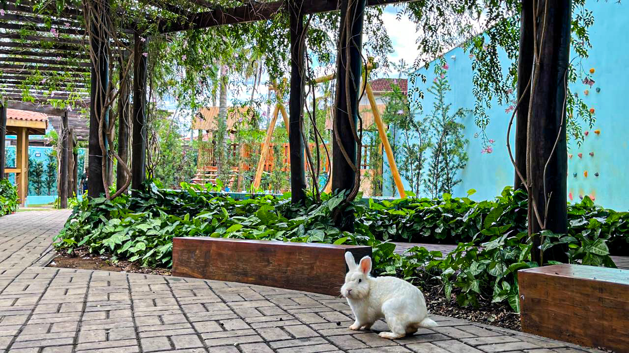 FOTOS UNIDADE I-12-2